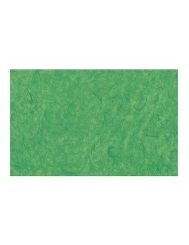 Papel de arroz verde lechuga